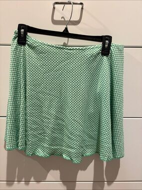 wild fable Mint Green Textured Skater Skirt